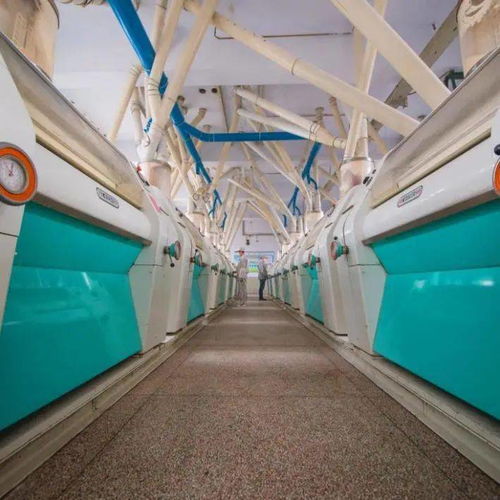 喜訊 省級(jí)特色優(yōu)勢(shì)食品產(chǎn)業(yè)強(qiáng)鎮(zhèn) 特色優(yōu)質(zhì)食品,我市新增2項(xiàng)省級(jí)食品工業(yè)榮譽(yù)